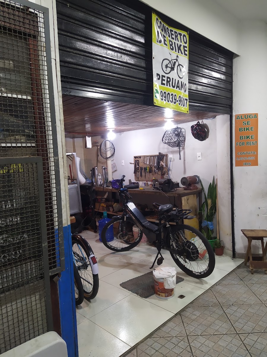 Conserto de Bicicleta Elétrica PERUANO, foto 1