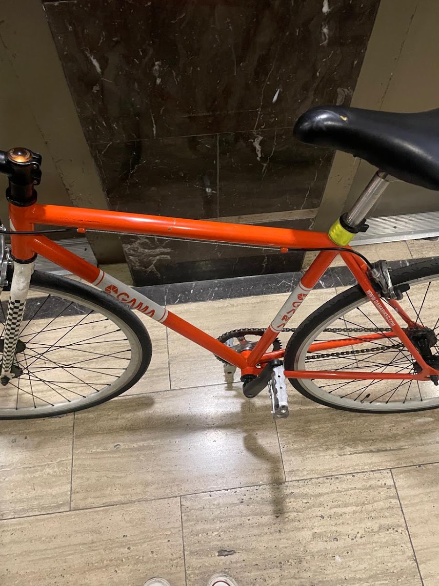 EcoBike Chile